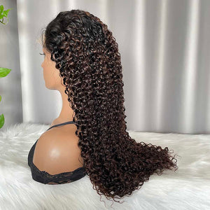 HD 5x5 Lace Closure Wig Jerry Curly Human Hair Wigs T1b/4